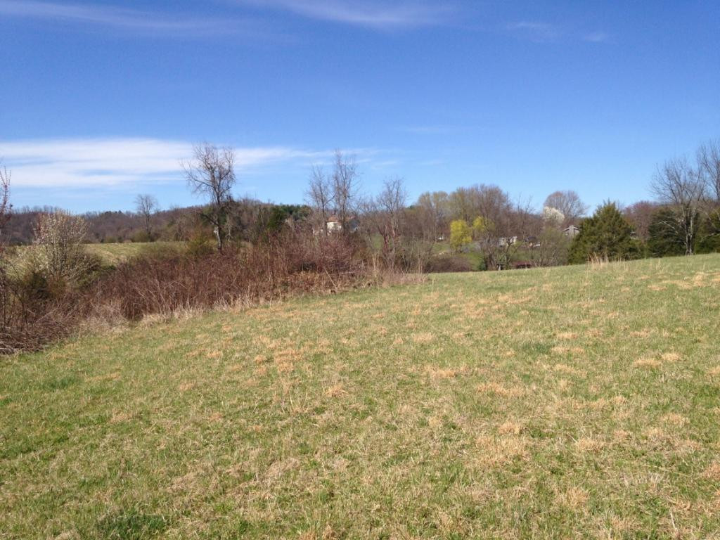 515 V I Ranch Road Bristol, TN 37620 - Photo 5 of 10 Photo 5