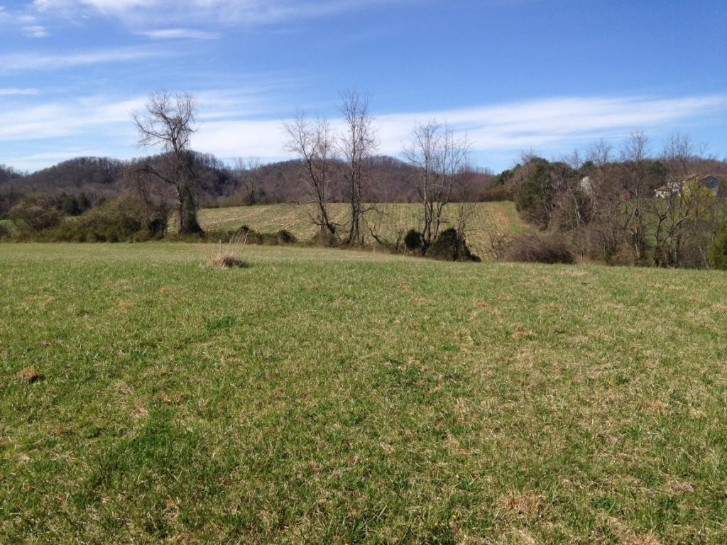 515 V I Ranch Road Bristol, TN 37620 - Photo 6 of 10 Photo 6