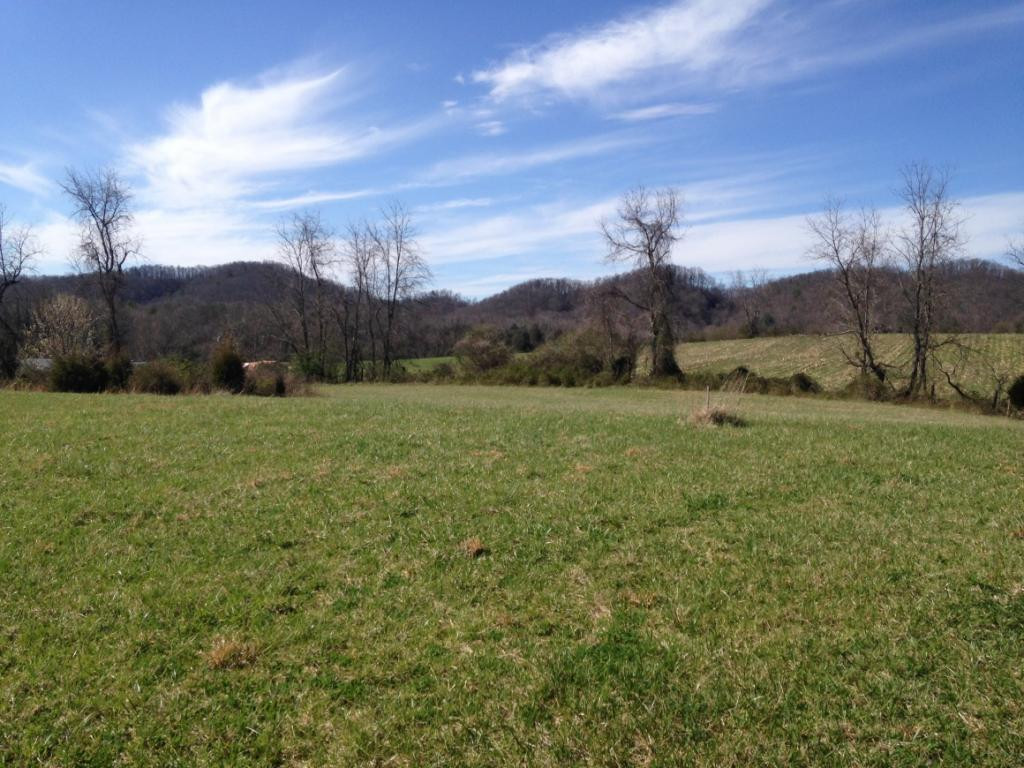 515 V I Ranch Road Bristol, TN 37620 - Photo 7 of 10 Photo 7