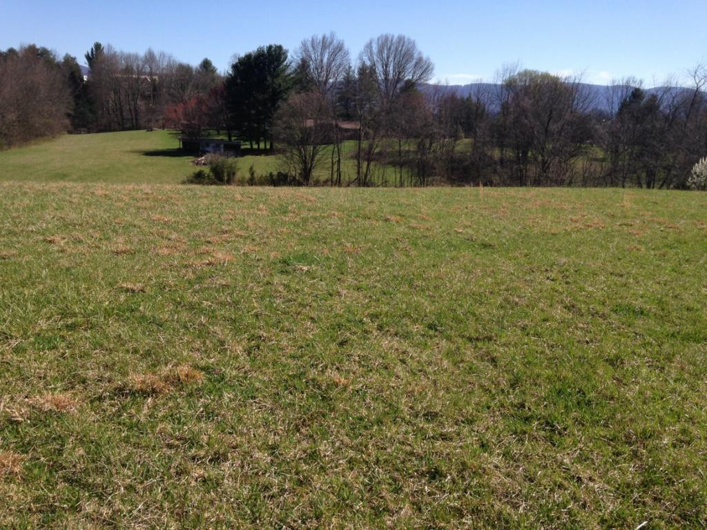 515 V I Ranch Road Bristol, TN 37620 - Photo 8 of 10 Photo 8