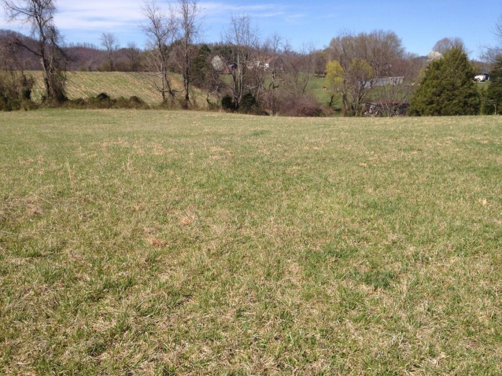 515 V I Ranch Road Bristol, TN 37620 - Photo 9 of 10 Photo 9
