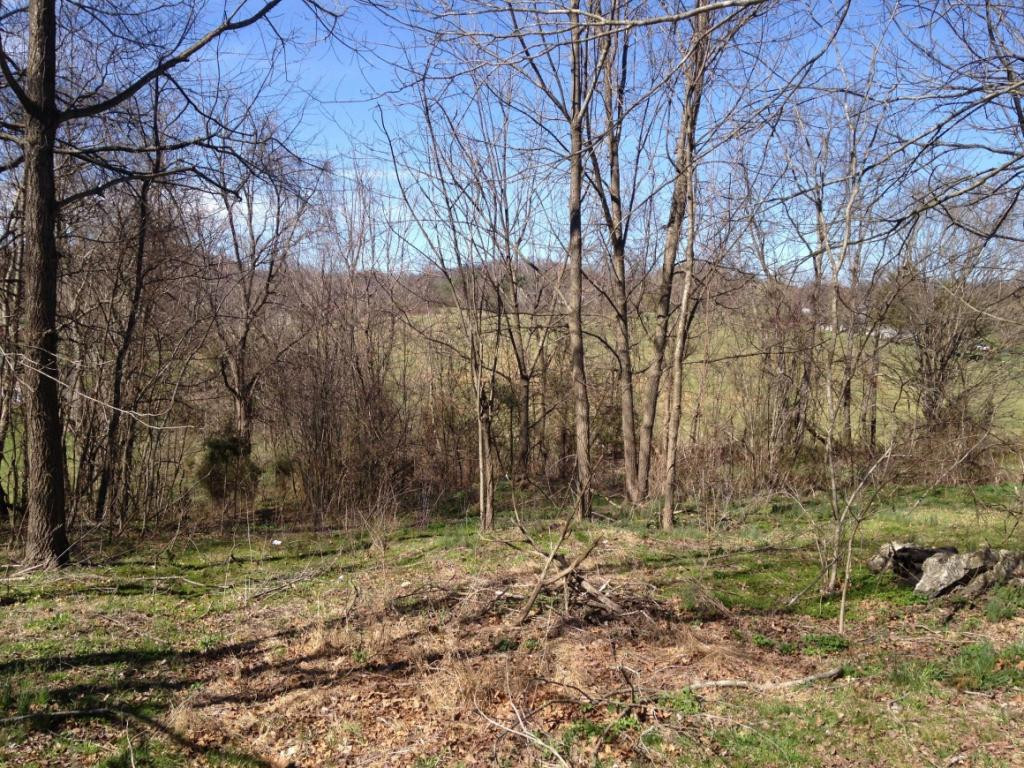 515 V I Ranch Road Bristol, TN 37620 - Photo 10 of 10 Photo 10