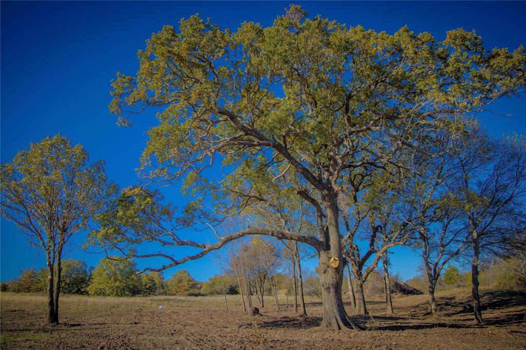 4 Lazy E Road St. Jo, TX 76265 - Photo 1 of 20 Gallery Image 1