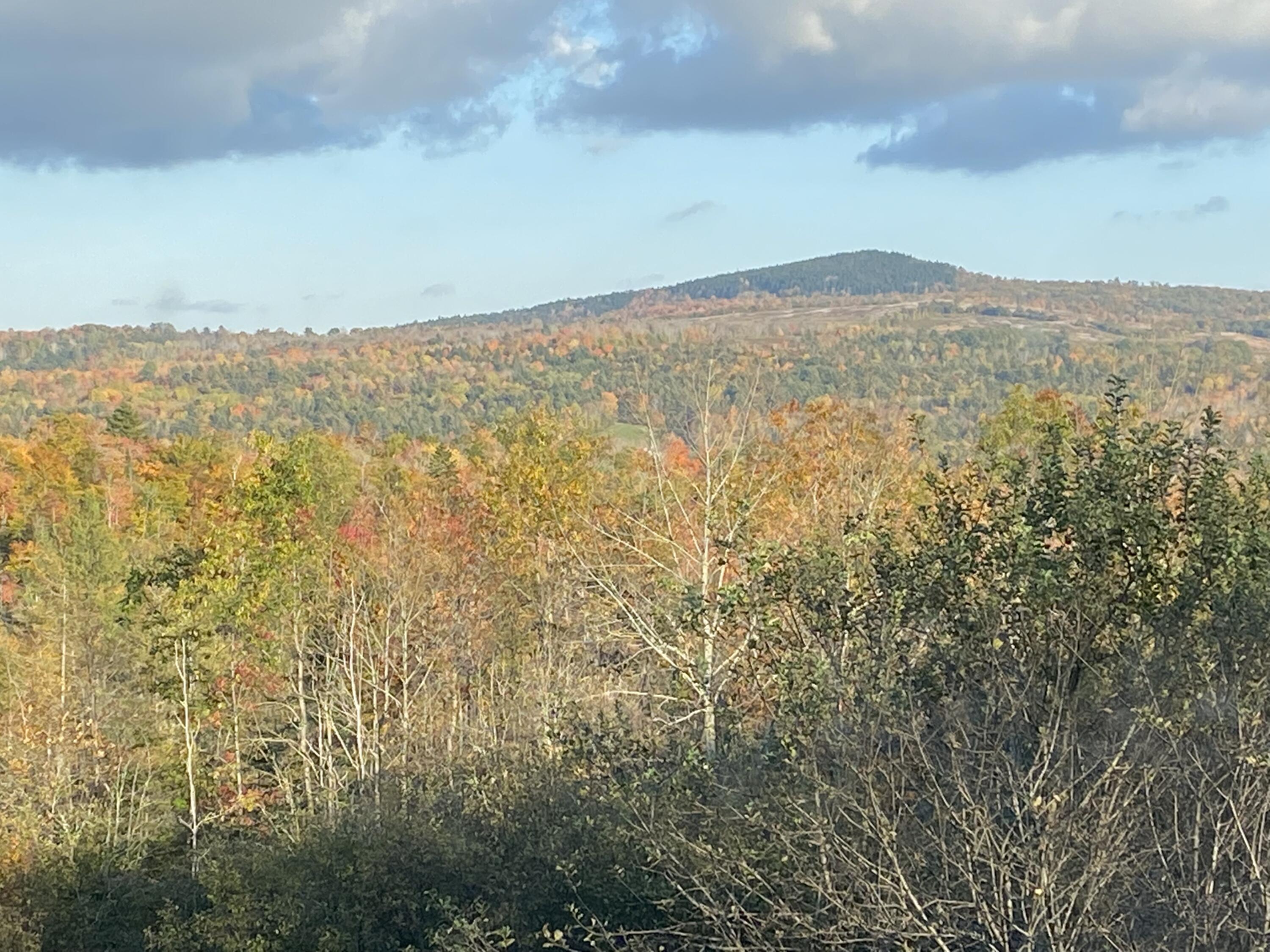 70 Dresser Road Bucksport, ME 04416 - Photo 15 of 37 15