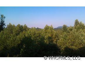 401 Frost Road Saluda, NC 28773 - Photo 5 of 6 Gallery Image 5