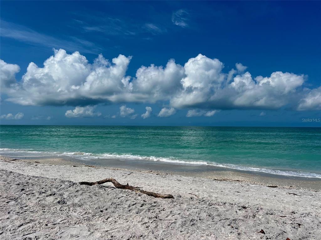 8692 Marsh Street Placida, FL 33946 - Photo 14 of 60