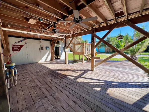 a view of a garden with plants