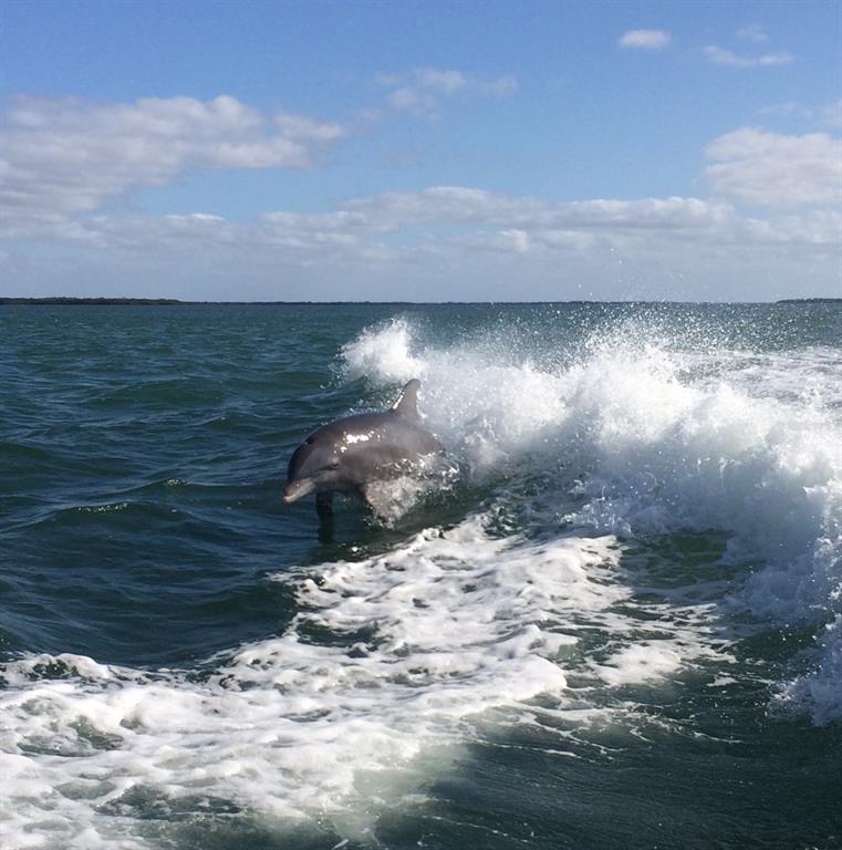 8692 Marsh Street Placida, FL 33946 - Photo 55 of 60