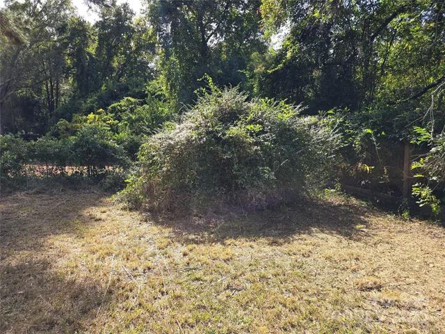a view of a yard with trees