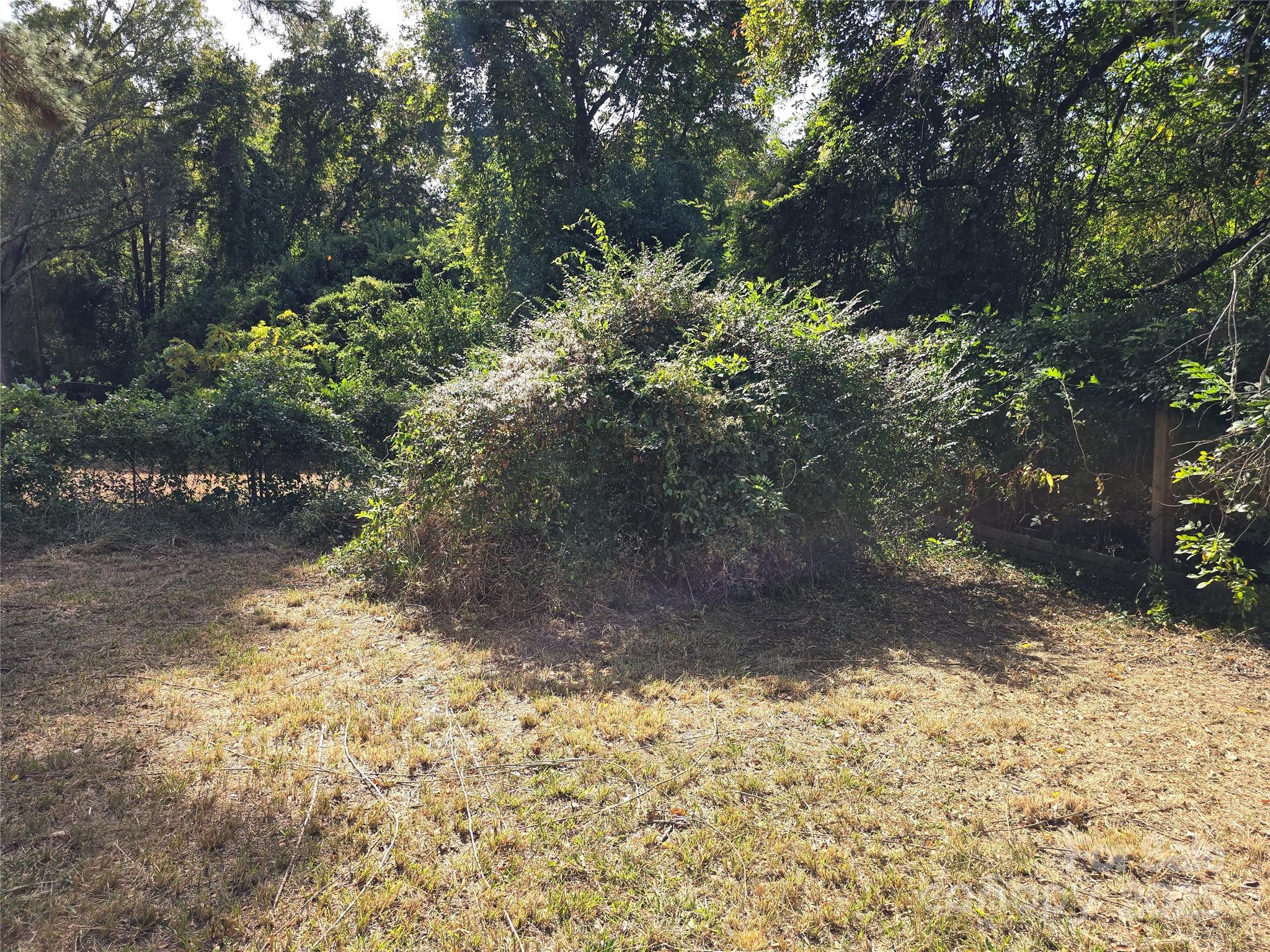 169 East Lacy Street Chester, SC 29706 - Photo 17 of 17 a view of a yard with trees