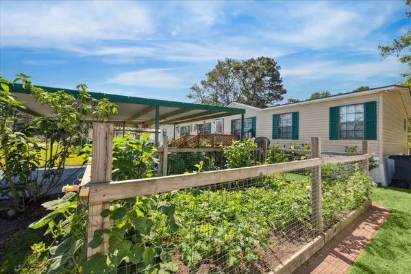 a view of a garden with plants
