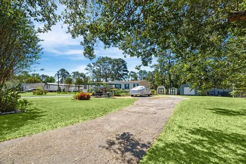 a view of a park with large trees