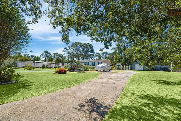 a view of a park with large trees