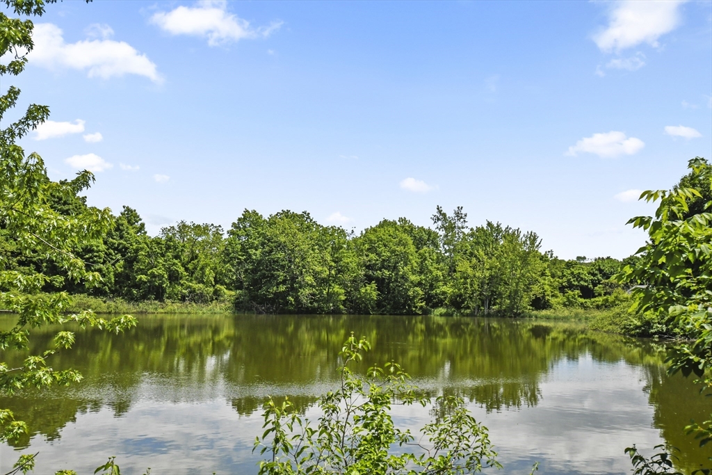 1105 Lexington Street, Unit 102 Waltham, MA 02452 - Photo 5 of 41 a view of lake