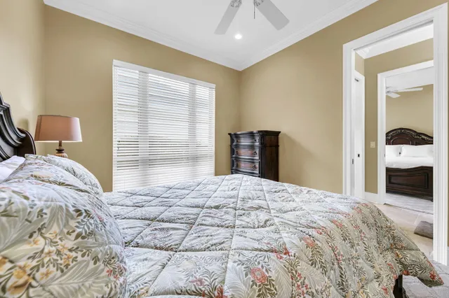 a view of a park with a slide