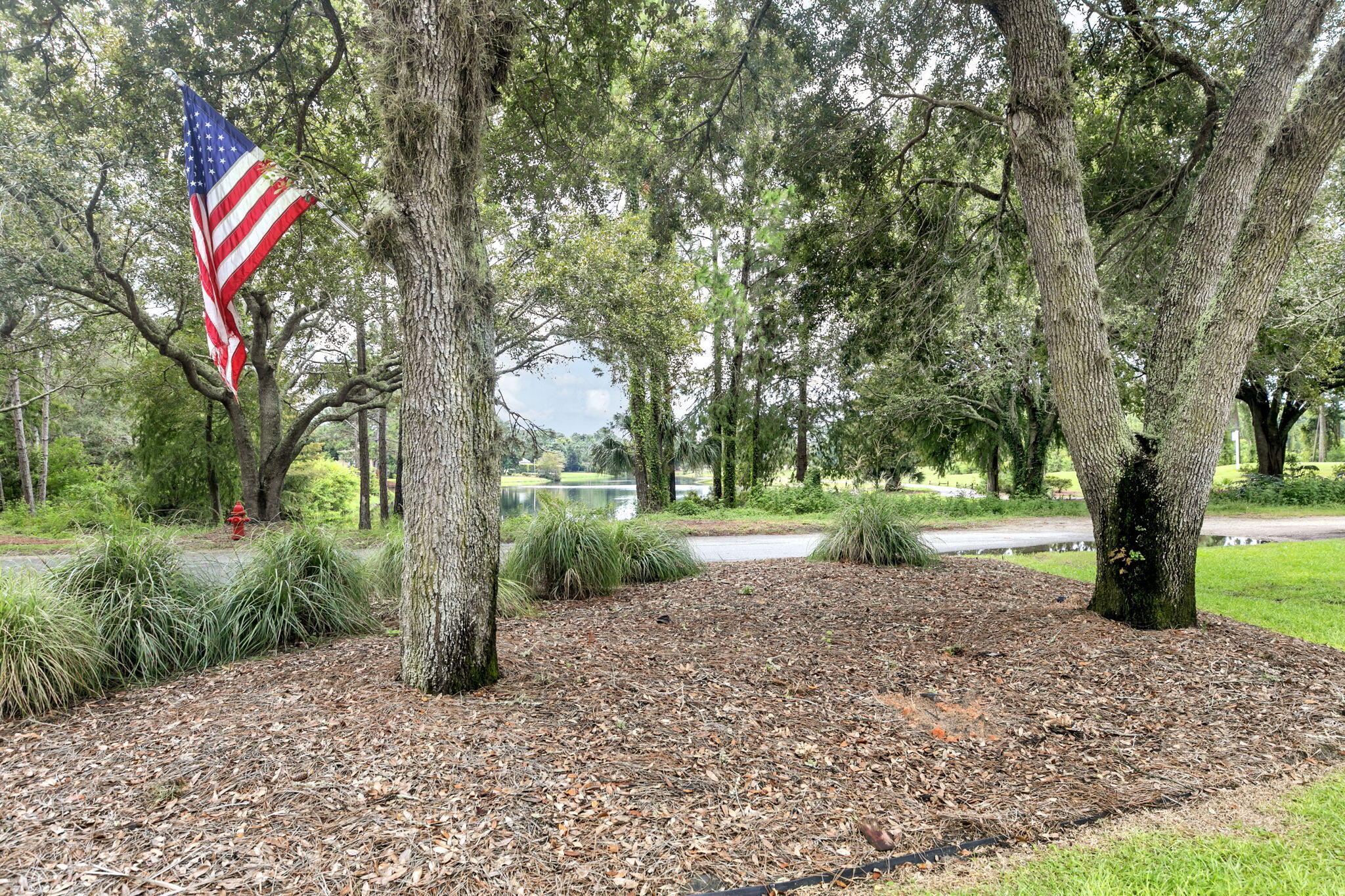 428 Captains Circle Destin, FL 32541 - Photo 7 of 68 a view of a tree in front of a house