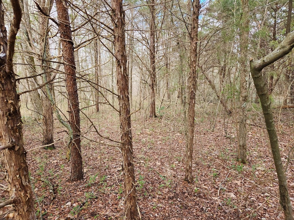 867 Carter Road, Unit 2 Cumberland, VA 23040 - Photo 56 of 57 Gallery Image 56