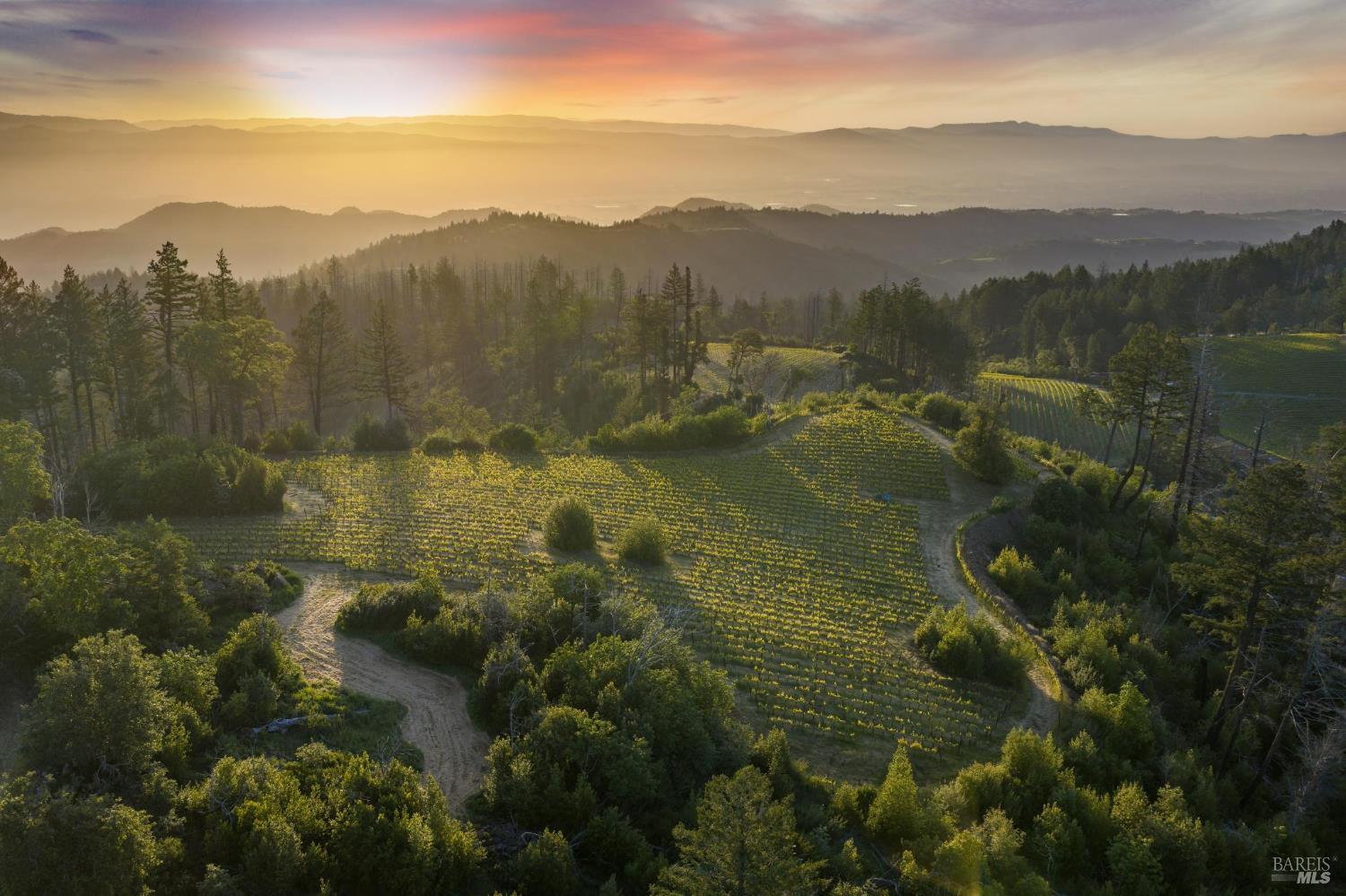 3801 Mt Veeder Road Napa, CA 94558 - Photo 3 of 22