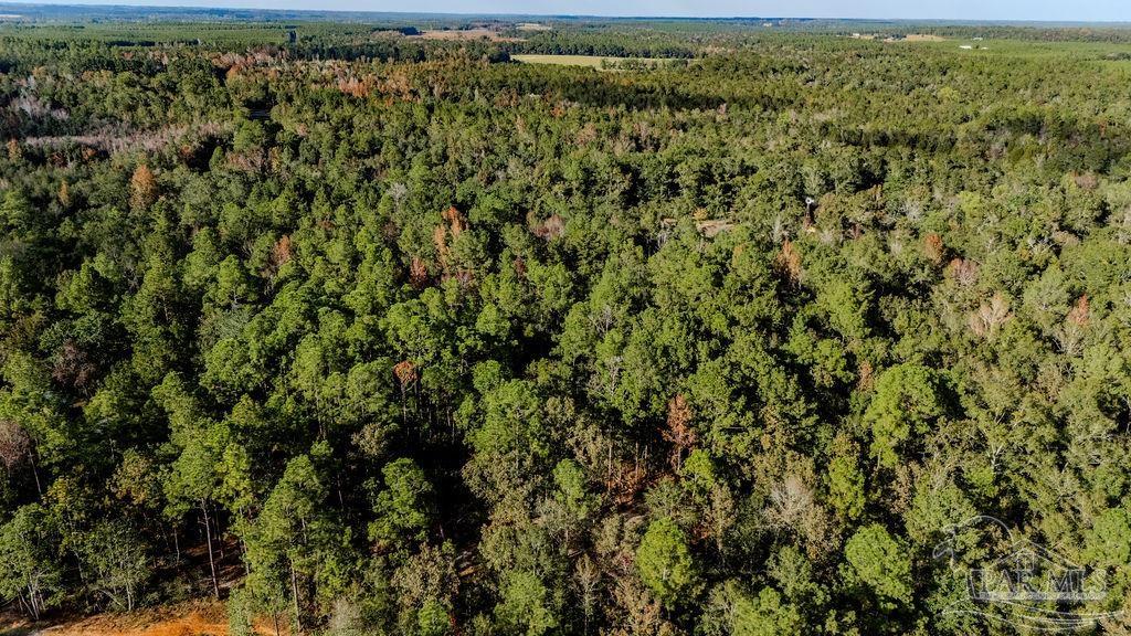 4 A Walling Road Milton, FL 32570 - Photo 14 of 23 an aerial view of residential houses with outdoor space