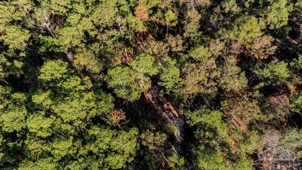 4 A Walling Road Milton, FL 32570 - Photo 18 of 23 a view of a tree