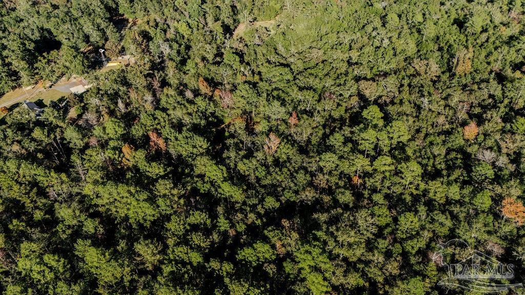 4 A Walling Road Milton, FL 32570 - Photo 20 of 23 a view of a tree