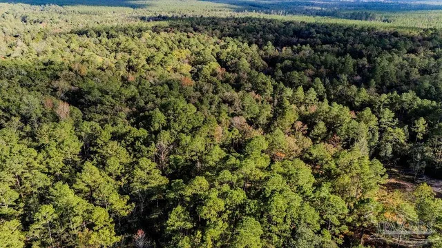 a view of a large yard with lots of bushes