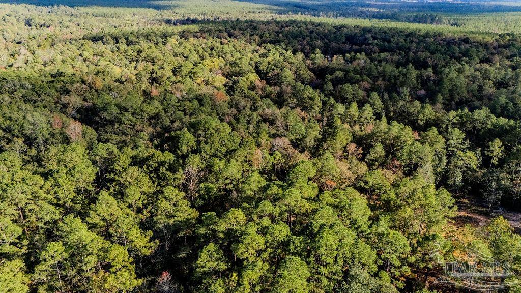 4 A Walling Road Milton, FL 32570 - Photo 21 of 23 a view of a large yard with lots of bushes
