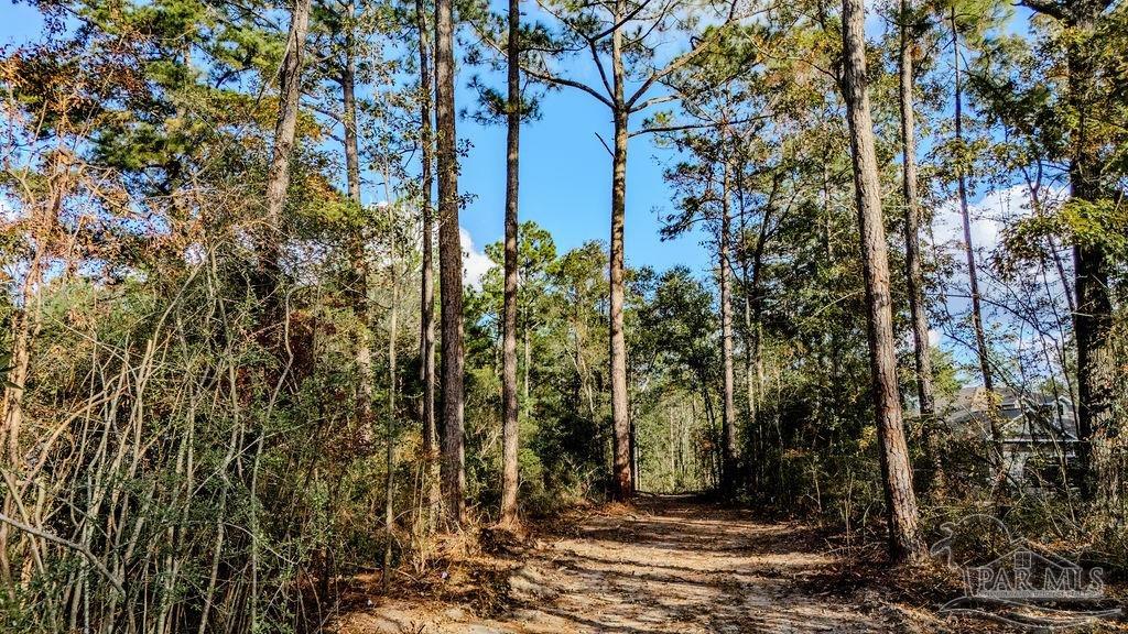 4 A Walling Road Milton, FL 32570 - Photo 22 of 23 a view of a yard with plants and trees