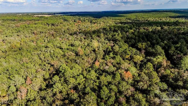 a view of a large yard