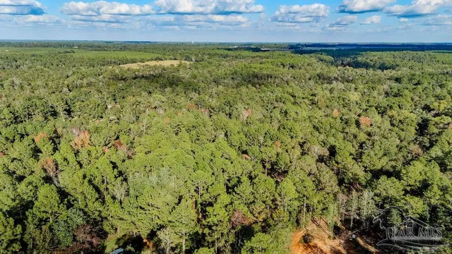 a view of a yard with an outdoor space