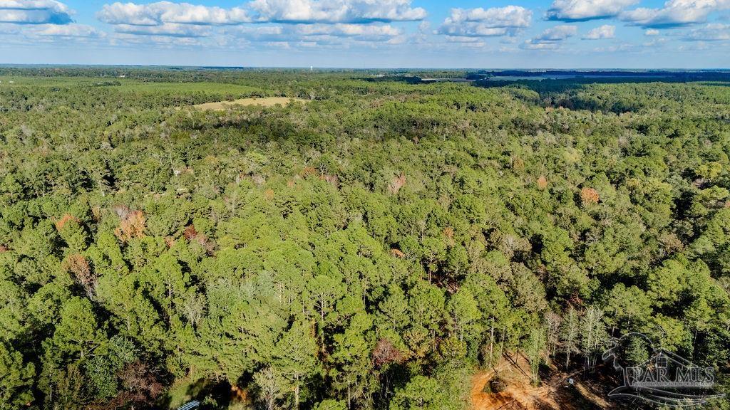 4 A Walling Road Milton, FL 32570 - Photo 3 of 23 a view of a yard with an outdoor space