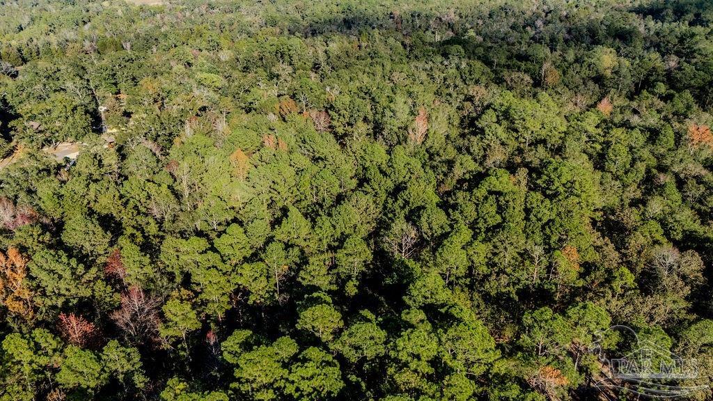 4 A Walling Road Milton, FL 32570 - Photo 4 of 23 a view of a tree