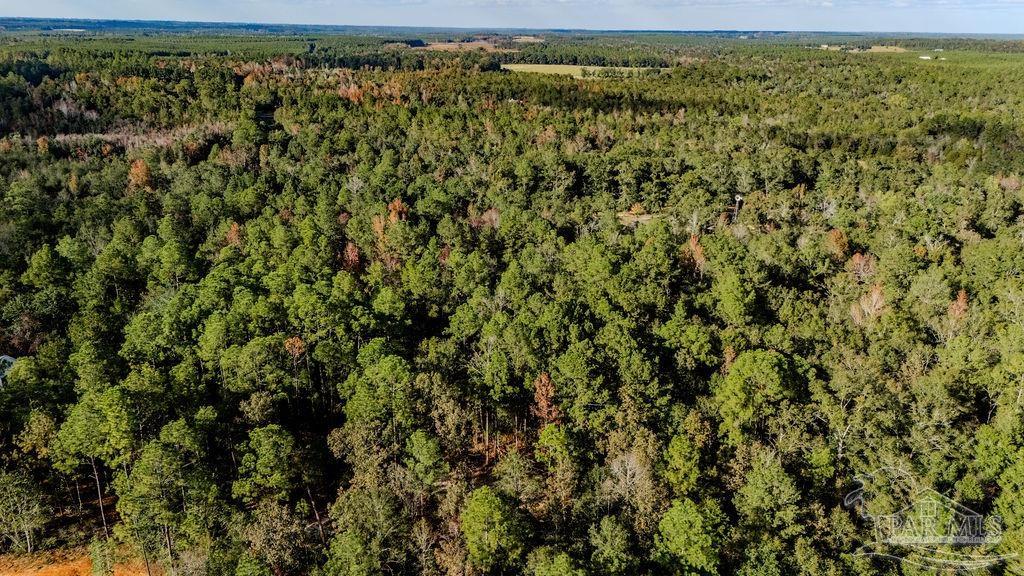 4 A Walling Road Milton, FL 32570 - Photo 5 of 23 a view of a green field
