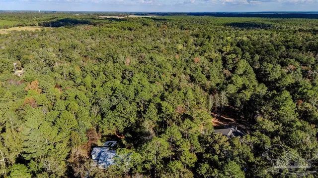 a view of a green field