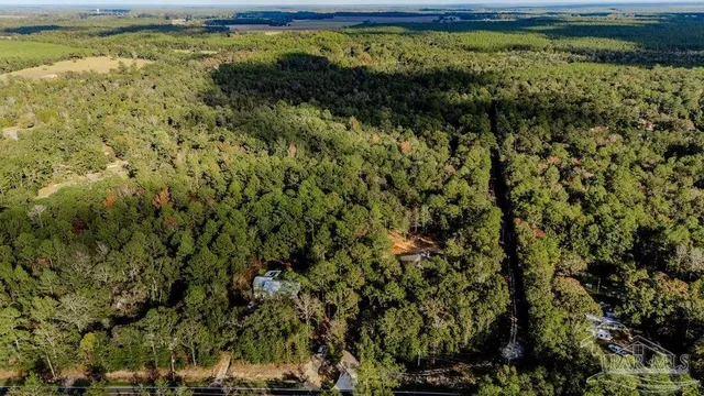 a view of a bunch of trees with a yard