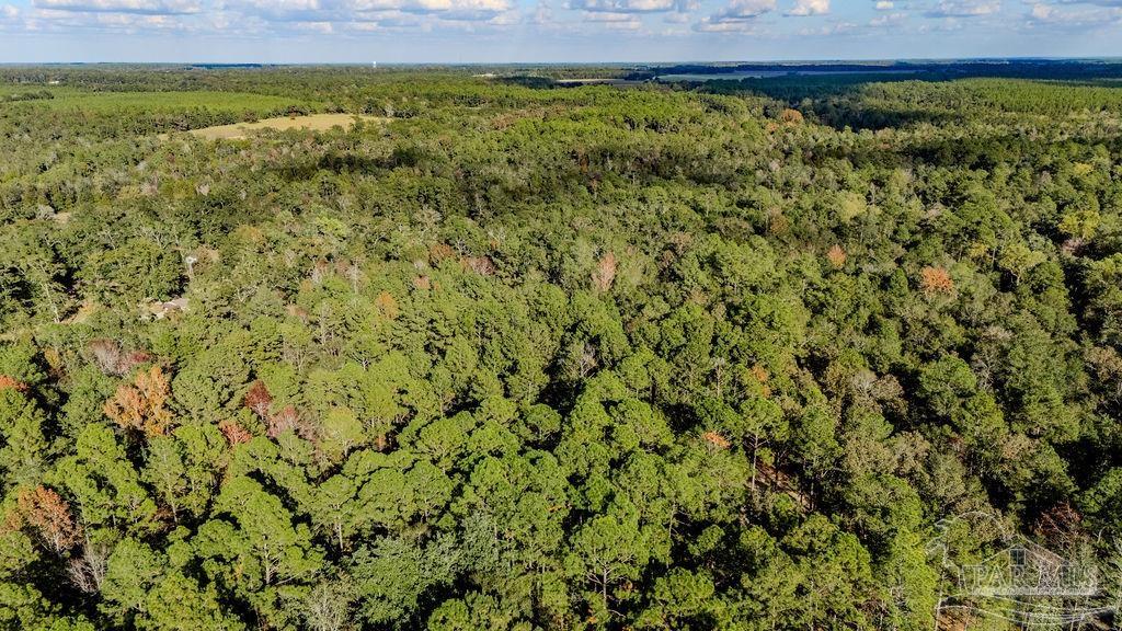 4 A Walling Road Milton, FL 32570 - Photo 10 of 23 a view of a field with an outdoor space