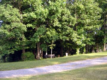 3111 Nemmo Road Vinton, VA 24179 - Photo 13 of 15 a front view of a house with a yard