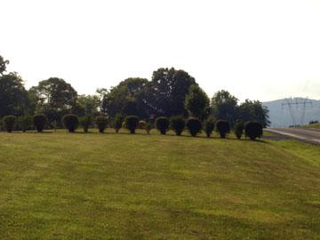 3111 Nemmo Road Vinton, VA 24179 - Photo 7 of 15 a view of outdoor space and yard