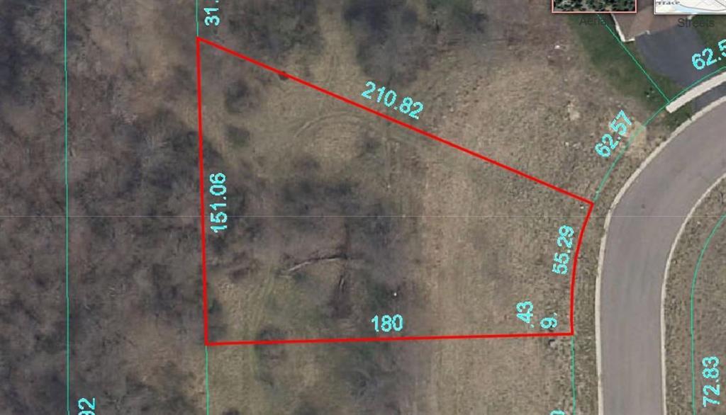 a close up of a plant