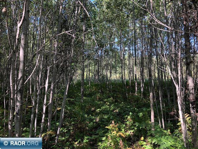 6391 Town Line Road Makinen, MN 55763 - Photo 3 of 12