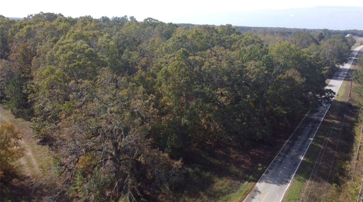 1 Flat Rock Road Abbeville, SC 29620 - Photo 1 of 1 Gallery Image 1