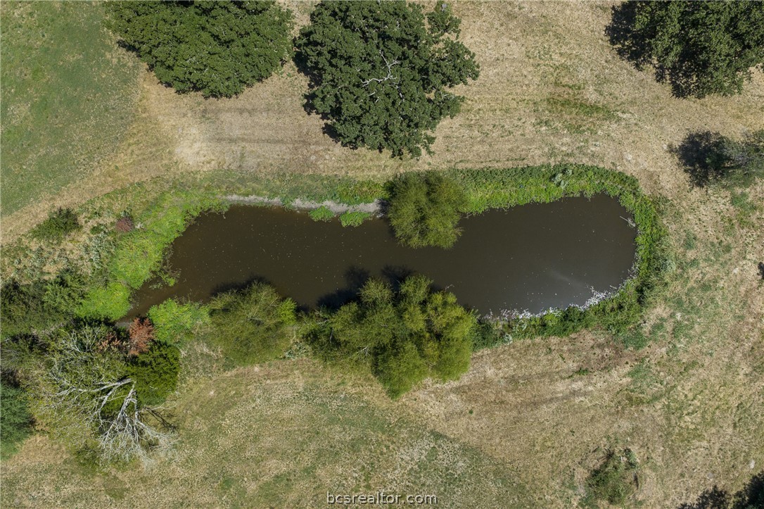 3675 Zulch Road North Zulch, TX 77872 - Photo 20 of 21 Gallery Image 20