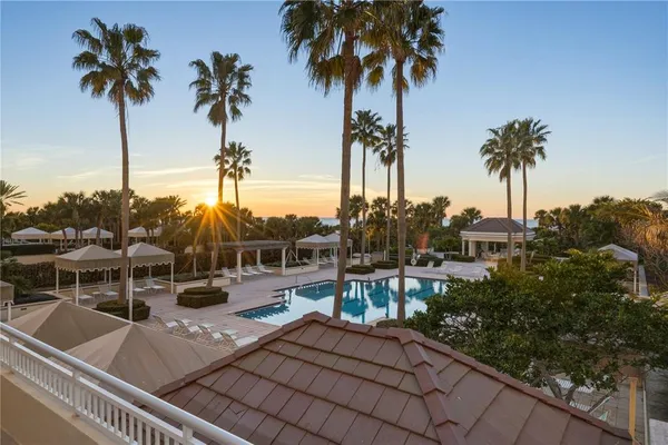 a view of a yard with palm trees