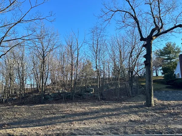 a view of a backyard with large trees
