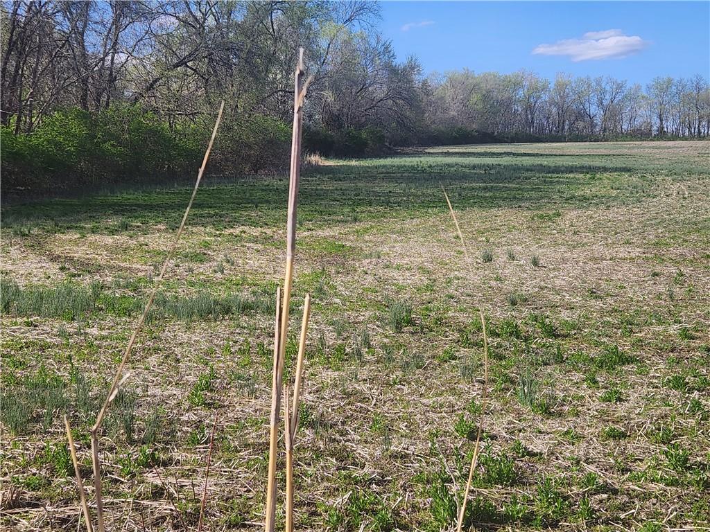 20602 East Truman Road Independence, MO 64056 - Photo 4 of 4