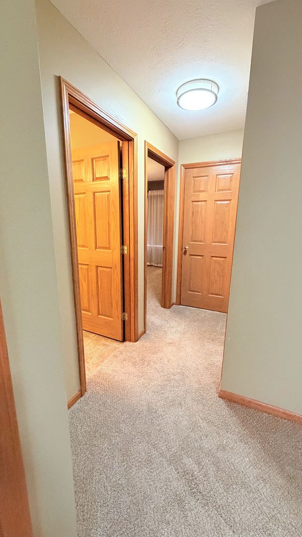 13375 Springhill Drive Winnebago, IL 61088 - Photo 20 of 32