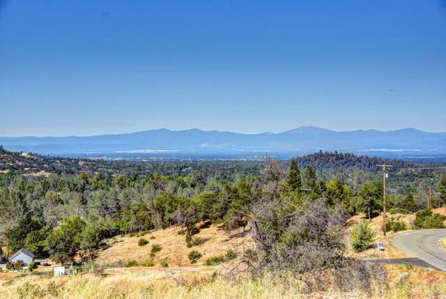 a view of a bunch of trees and mountains