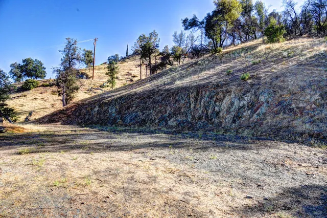 a view of a yard with wooden fence