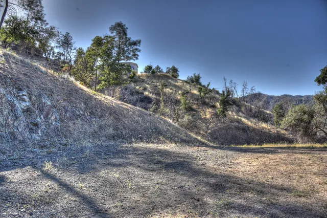 a view of a yard with a tree
