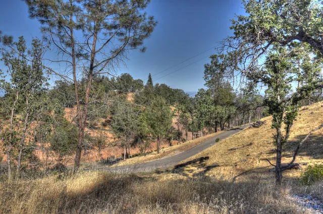a view of a yard with trees